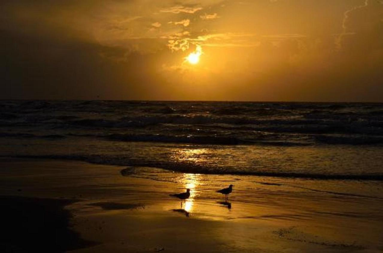 Affordable Family Condo -Walking Distance To Beach By Mustang Island, Sleeps Four, 2025 Traveler Award 코퍼스크리스티 외부 사진